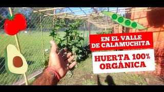 Huerta 100  verdura orgánica en el valle de Calamuchita Córdoba Argentina [upl. by Iret]