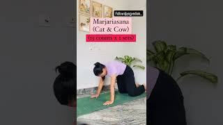 🌸Yoga during Ovulation 🌸 yoga onlineyoga yogagirl shorts ytshorts fertilityjourney [upl. by Yanttirb]