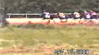 Camptown Horse Races 2000 Ashland Virginia [upl. by Evelunn]