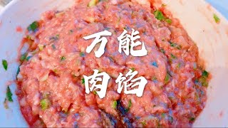 万能调肉馅秘诀，包子馅、饺子馅做法，鲜嫩多汁，劲而不柴！ [upl. by Sedgewick]