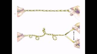 DNA supercoiling and topoisomerase [upl. by Aicercul]