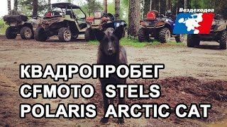 CFMOTO STELS POLARIS ARCTIC CAT КвадроПробег Чебоксары  Визимьяры [upl. by Fricke]