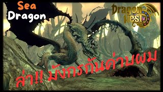 Dragon Nest Rewind ล่ามังกรกันค่าบผม Sea Dragon ByJaycopz EP3 [upl. by Jona]