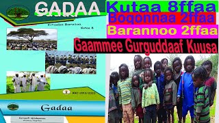 GADAA Kutaa 8ffaaBoqonnaa 2ffaa Gaammee Gurguddaaf Kuusa [upl. by Orin]