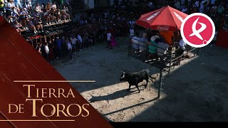 Una plaza con encanto para correr los toros más grandes  Tierra de Toros [upl. by Ettenajna442]