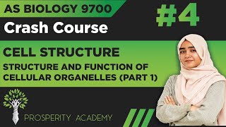 Structure and Function of Cellular Organelles Part 1  Cell Structure  9700 AS Biology UrduHindi [upl. by Stesha]