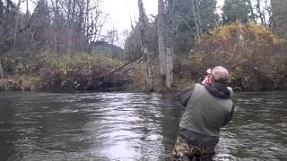 Xfactor Tackle Chum Salmon [upl. by Mchale668]