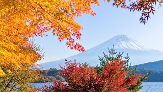 3 Composizioni originali per Pianoforte con sfondi naturali panoramici 🎹 [upl. by Aisylla]