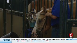 National Reining Horse Association Classic Opens At Tulsa County Fairgrounds [upl. by Merwyn]