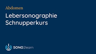 Leberultraschall Sonographie  Schnupperkurs  SONO2learn [upl. by Ifen]