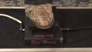 Morley BAD HORSIE wah wah guitar effects pedal demo with SG amp Jaguar Jr amp [upl. by Auod]