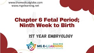 Chapter 6 Fetal Period Ninth Week to Birth Embryology [upl. by Andris360]