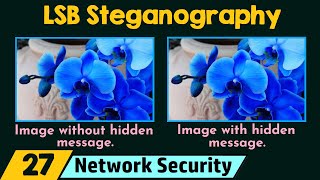 LSB Steganography  Demo [upl. by Green]