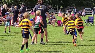 U8 Crusaders team 1 Vs Brantford at Fergus [upl. by Retsev]