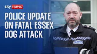 Police news conference on fatal dog attack in Essex [upl. by Arykat]