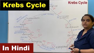 Krebs Cycle in Hindi  Citric Acid Cycle  TCA  Tricarboxylic Acid Cycle  Nursing Lecture [upl. by Cthrine]