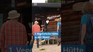 🐶😮😆 Mit Hund auf der 1 Vegetarischen Hütte in den Alpen  Wandern mit Hund  Berge  BR short [upl. by Edeline]