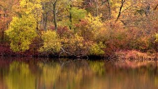 pt 3 at tinker Creek Park [upl. by Brown]