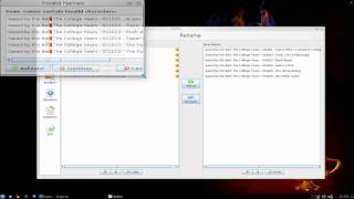 FileBot  The Ultimate TV Renamer  Kubuntu 1010 [upl. by Ereveneug]