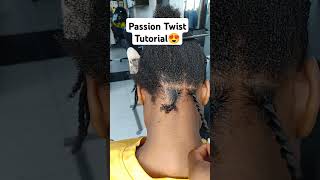 Passion Twist Tutorial 😍 tranding reels 2024 shortvideo artist [upl. by Milli676]