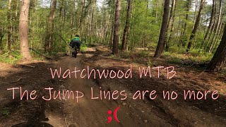 MTB Watchwood Trails  The jump lines are no more [upl. by Ainola]