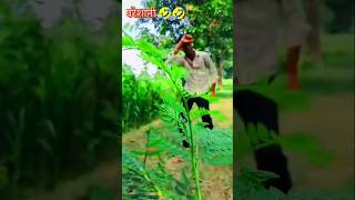 कमर मे परेशानी बा 2  Amit Star Gorakhpuri Shilpi Raj  Kamar Me Pareshani Ba 2  Bhojpuri Song✅ [upl. by Coombs]