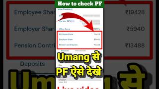 How to check PF in Umang App  PF बैलेंस ऐसे देखे  PF balance Check technicalmp [upl. by Werd]