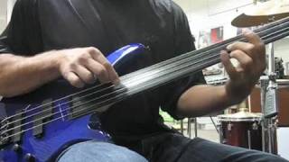 Rogue LX200 Fretless Bass [upl. by Ahtael]