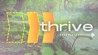 Thrive  92924  1030AM [upl. by Hartzell]