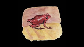 Endangered poison dart frog calls w ambient soundscapes 🐸🎶 Poison Frog Song Sanctuary [upl. by Eleanora]