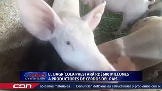 El Bagrícola prestará RD600 millones a productores de cerdos del país [upl. by Lechner]