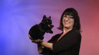 Folkmanis® Black Cat Puppet Demo [upl. by Ennirak]