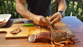 NZ crayfishrocklobster preparation [upl. by Navad]