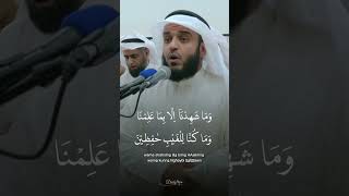 Beautiful Quran Recitation [upl. by Adnahs]