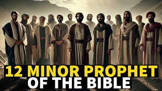 Understanding the 12 Minor Prophets of the Bible  Who Were They [upl. by Armando]