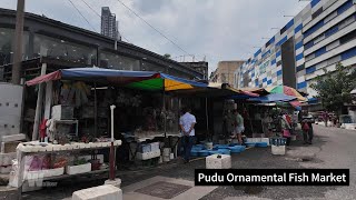 【 2024 🇲🇾 KLwalks】 Walking Tour To Pudu Ornamental Fish Market PUDU ORNAMENTALFISHMARKET [upl. by Wavell]