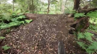 NAROOMA MTB PARK WALBUNJA WHIPBIRD [upl. by Ibmat]