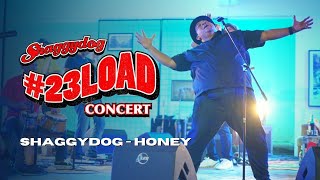 23LOADCONCERT  SHAGGYDOG  HONEY LIVE [upl. by Shanks]