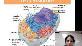 Cell Physiology Unit 1  Video 7 [upl. by Narad838]