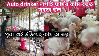 Broiler chicken farming in Assam Ii Auto drinker good or bad [upl. by Debra]