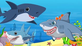 Baby Shark English Rhymes For Babies  English Song for toddlers  Nursery Rhymes [upl. by Alikee]