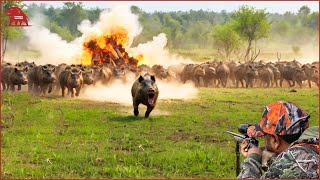 How Farmers and Hunters Deal with Millions of Wild Boars And Fox with Guns  Farming Documentary [upl. by Drarreg]