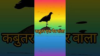 pigeon masti short video । कबुतर जा कबुतर जा pigensloverspigeon [upl. by Penman197]