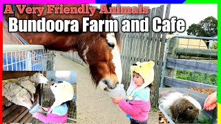 Meet friendly Animal Farm at Bundoora Farm and Cafe [upl. by Asset944]