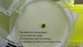 MASS  Microalgae Air Separation Systems [upl. by Aicilak]