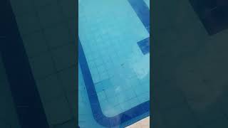 COMO ECHARLE EL SULFATO A TU PISCINA RÁPIDO Y FÁCIL para que sirve te lo explico 🙂 [upl. by Hollister705]