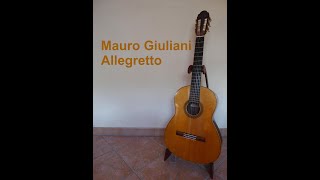 Mauro Giuliani Allegretto in C Dur [upl. by Erret]