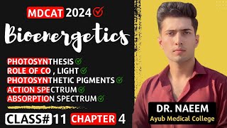 Bioenergetics  Biology Class 11  MDCAT 2024 [upl. by Thirion]