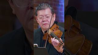 Beautiful Rondeau in this Ouverture Suite ❤️🤩 bach orchestra concert violin [upl. by Hamnet]