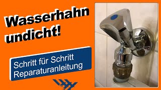 Wasserhahn undicht Reparaturanleitung zum Austausch des Hahnoberteils [upl. by Yanal698]